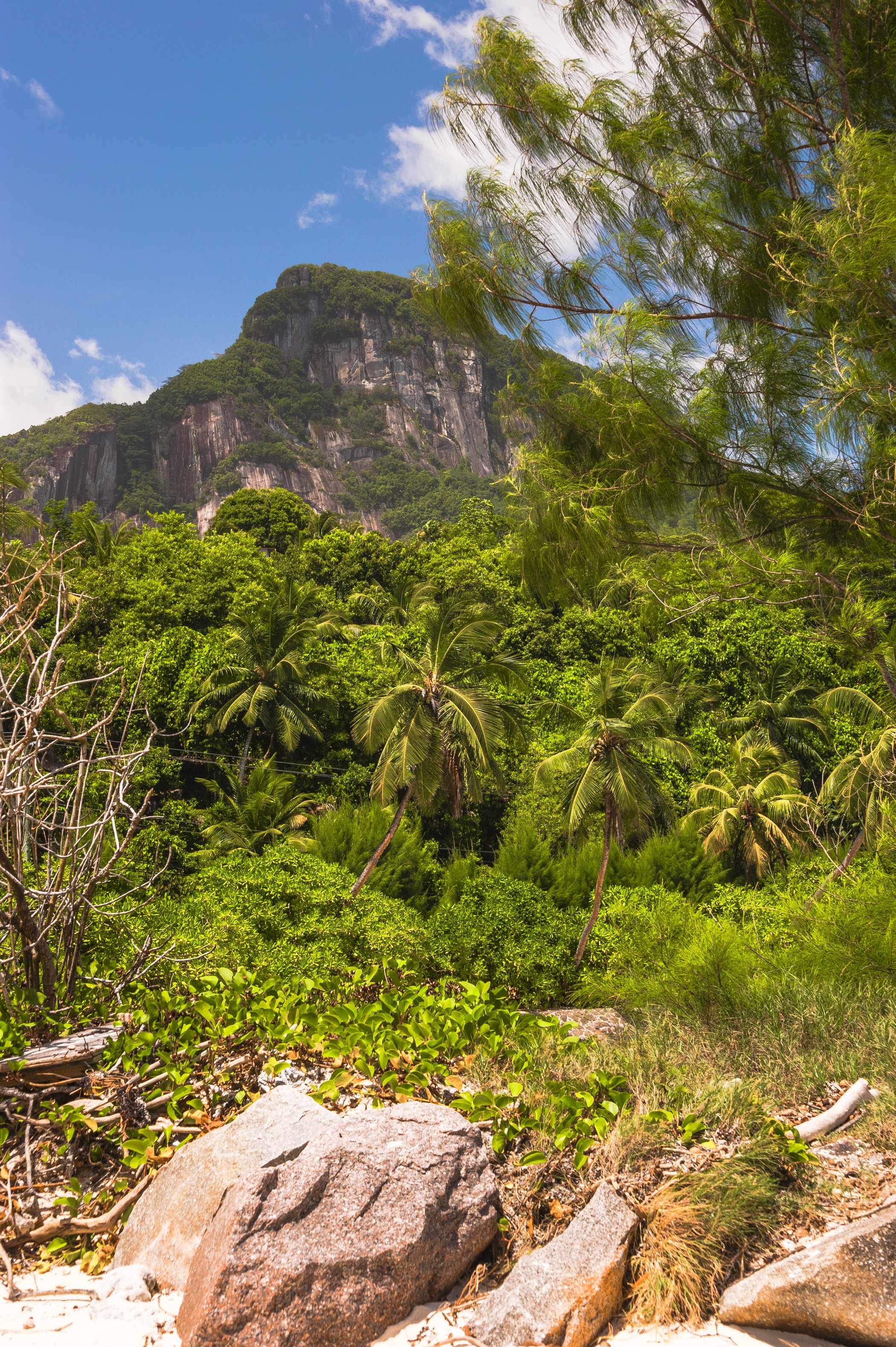 Morne Blanc Trail