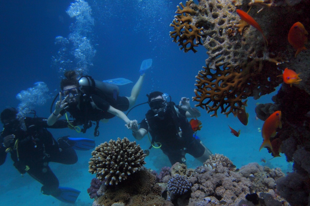 seychelles diving.jpg