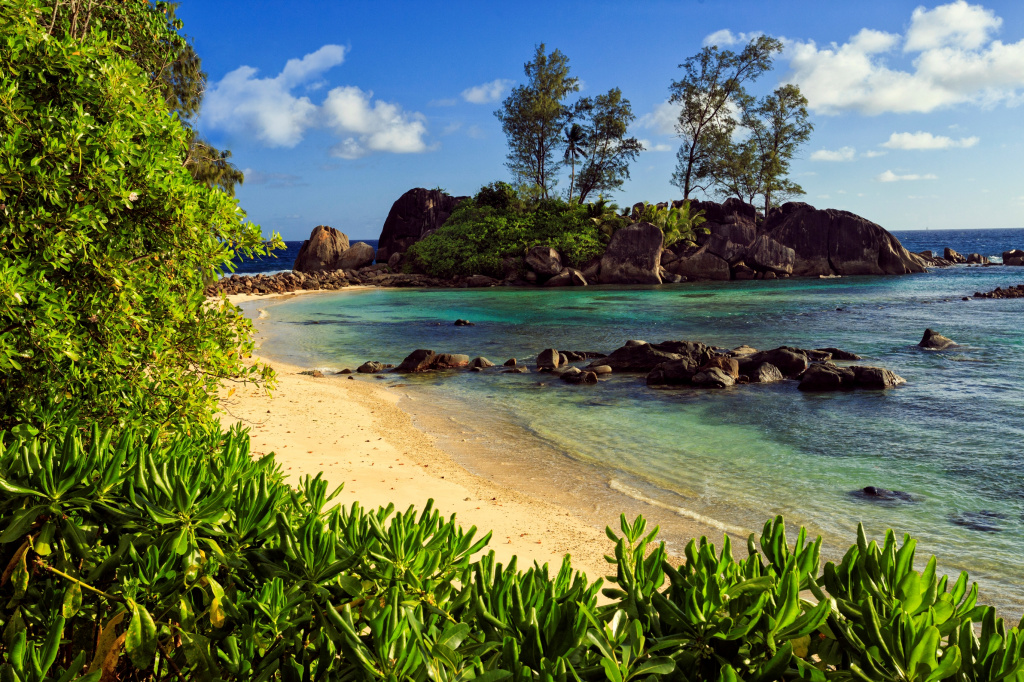 seychelles landscape.jpg