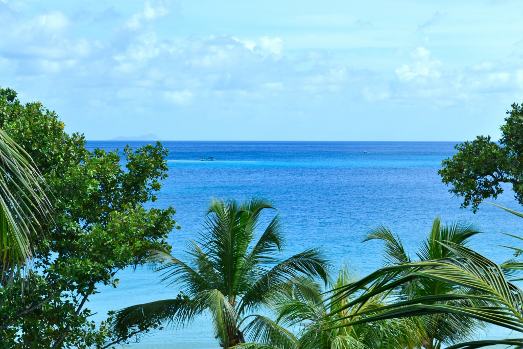 Seychelles swimming