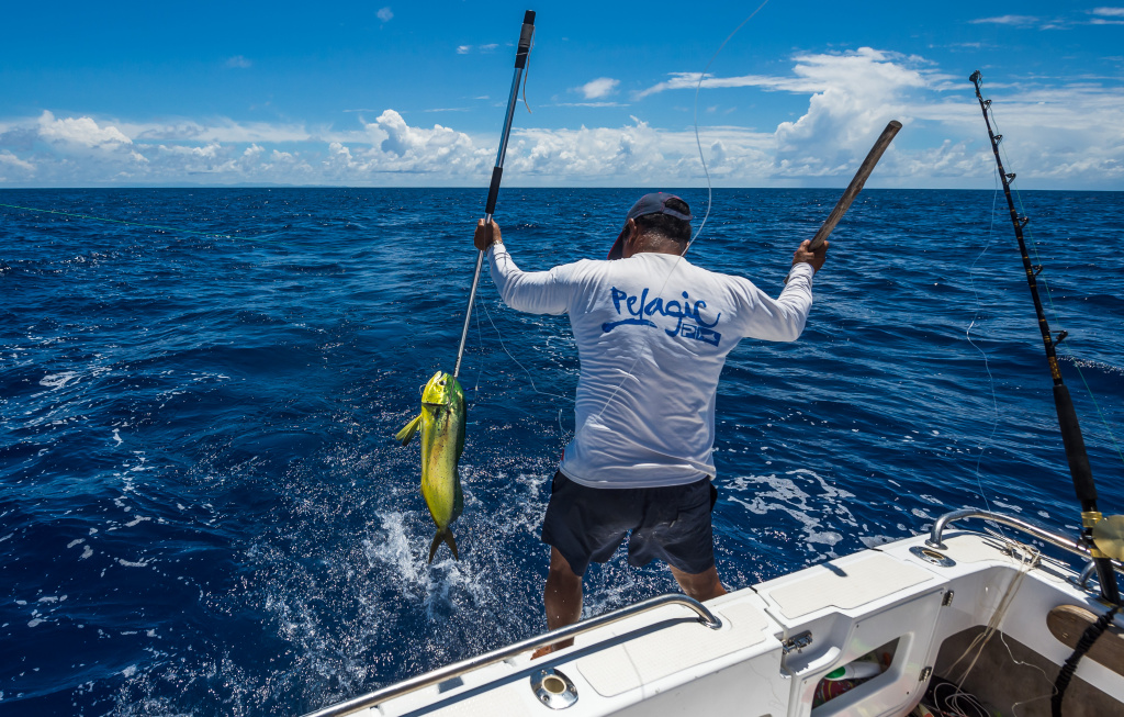 Seychelles fishing