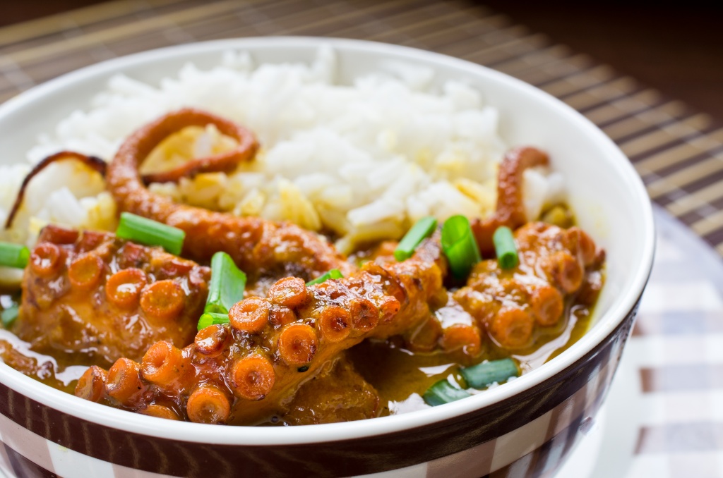 octopus curry.jpg